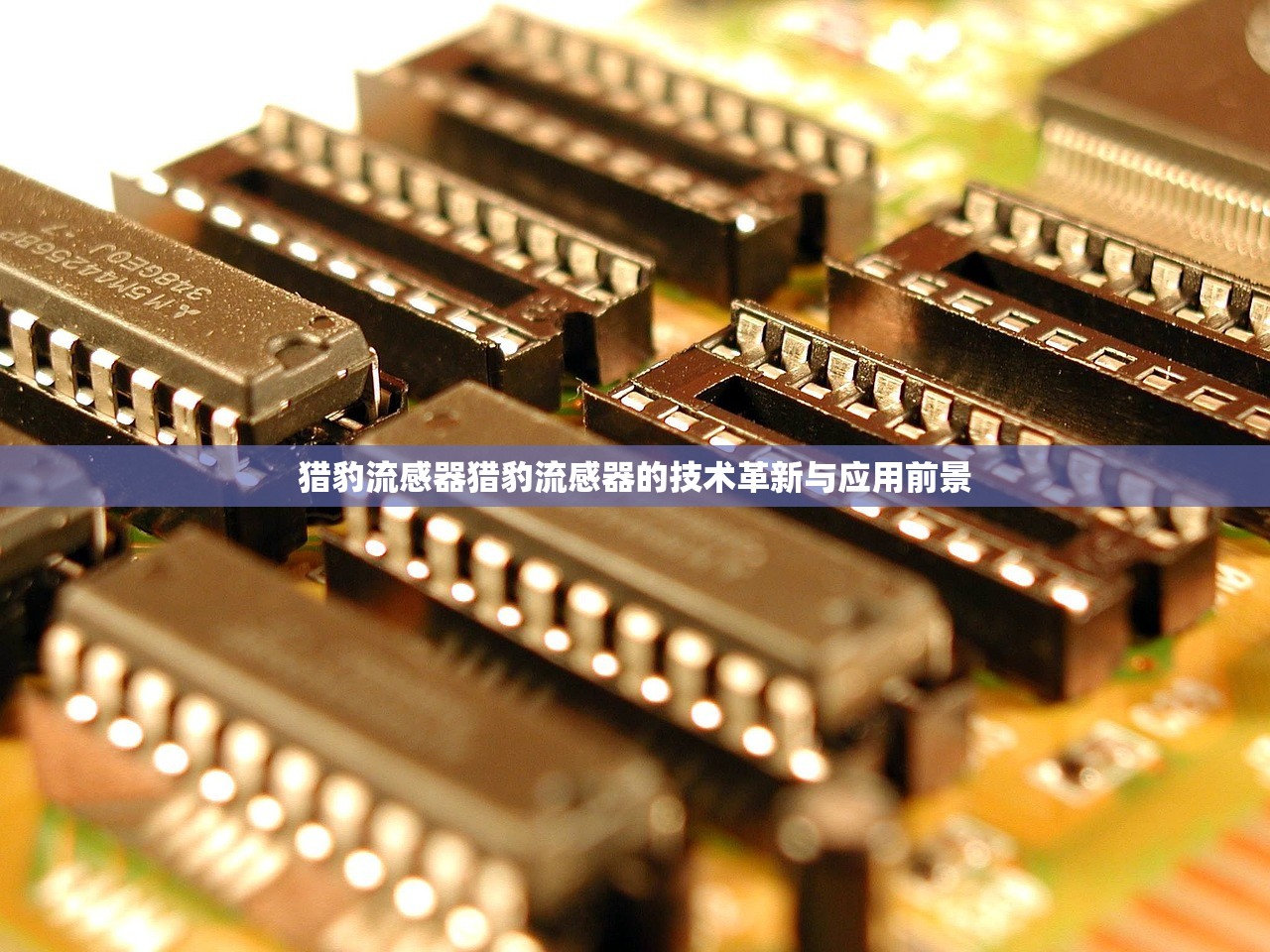 猎豹流感器猎豹流感器的技术革新与应用前景  第1张