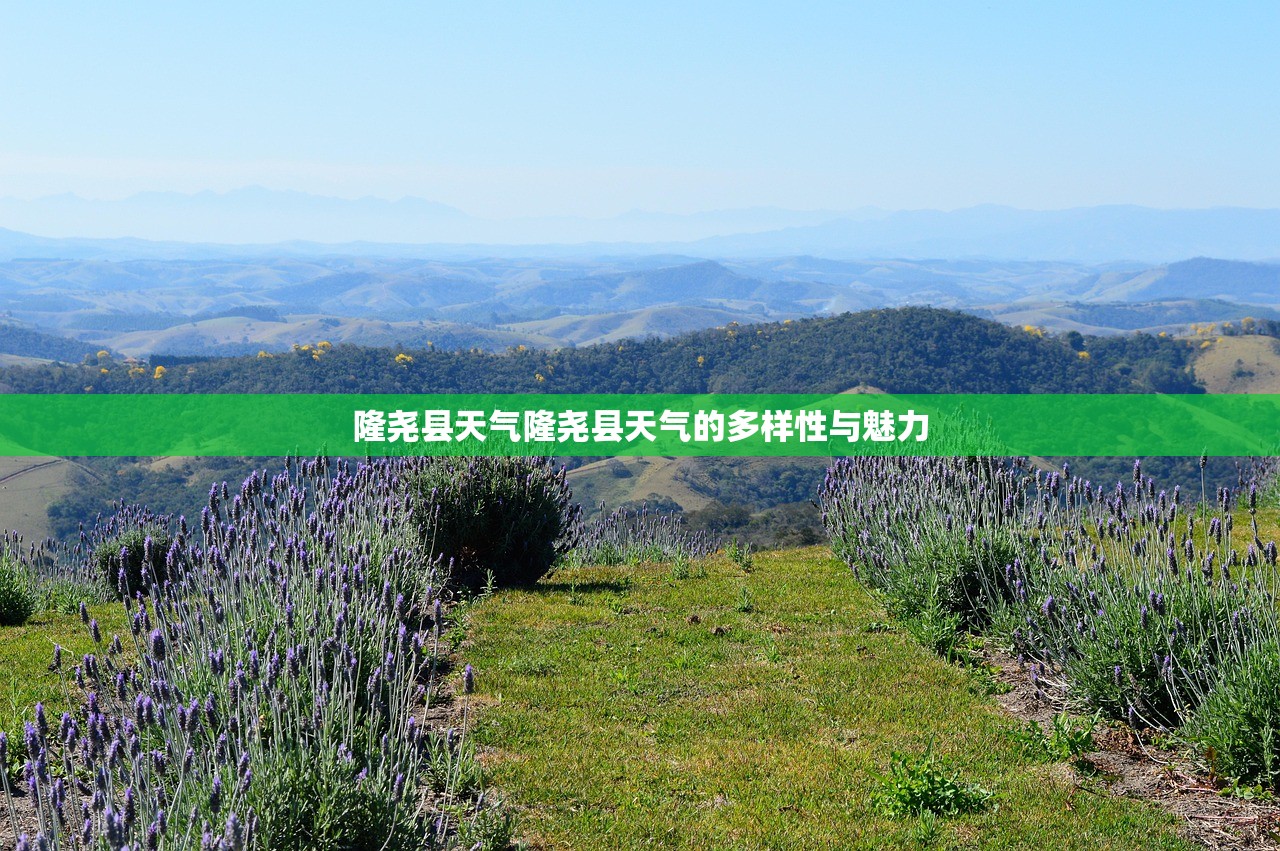 隆尧县天气隆尧县天气的多样性与魅力  第1张