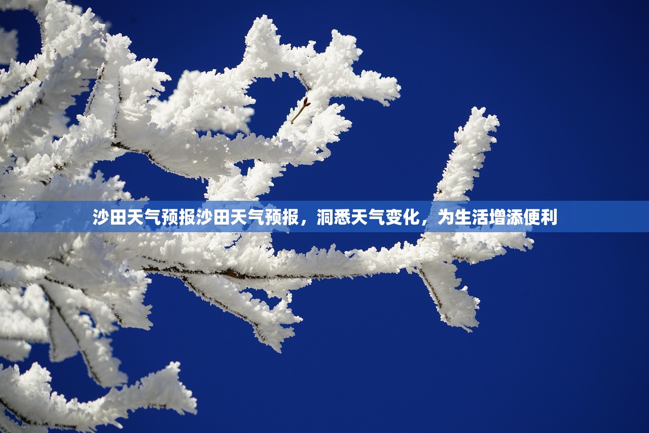 沙田天气预报沙田天气预报，洞悉天气变化，为生活增添便利  第1张