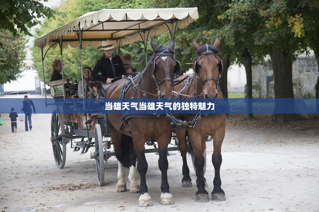 当雄天气当雄天气的独特魅力  第1张