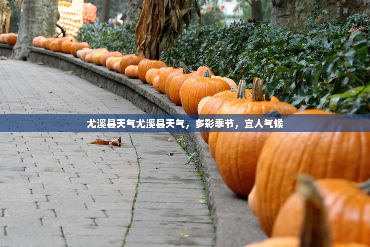 尤溪县天气尤溪县天气，多彩季节，宜人气候  第1张