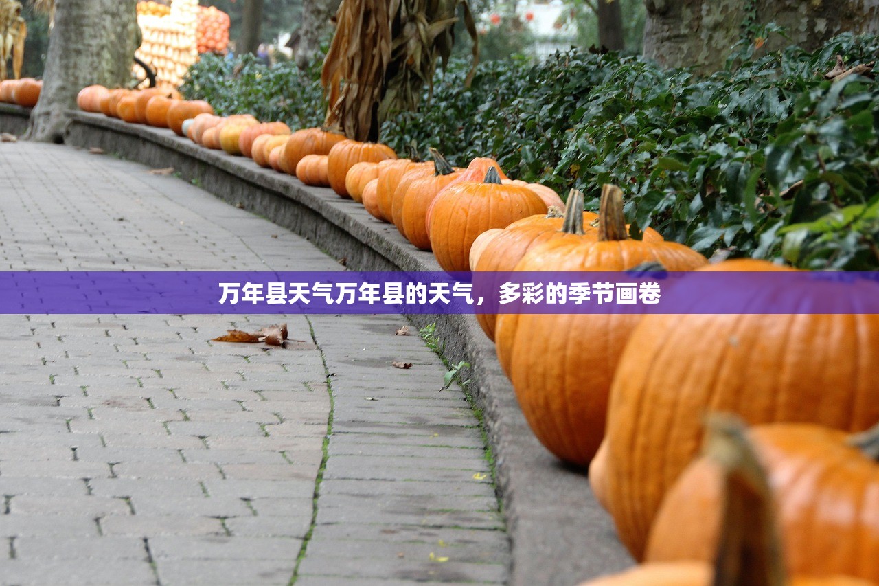 万年县天气万年县的天气，多彩的季节画卷  第1张
