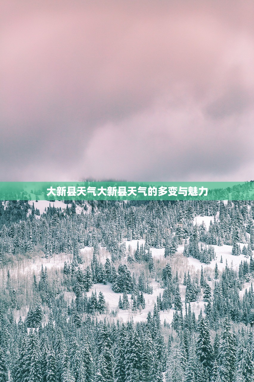 大新县天气大新县天气的多变与魅力  第1张