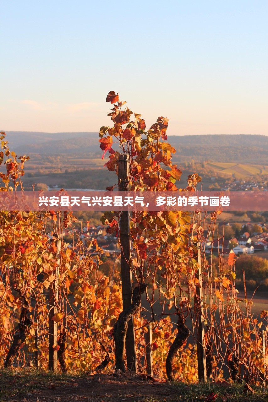 兴安县天气兴安县天气，多彩的季节画卷  第1张