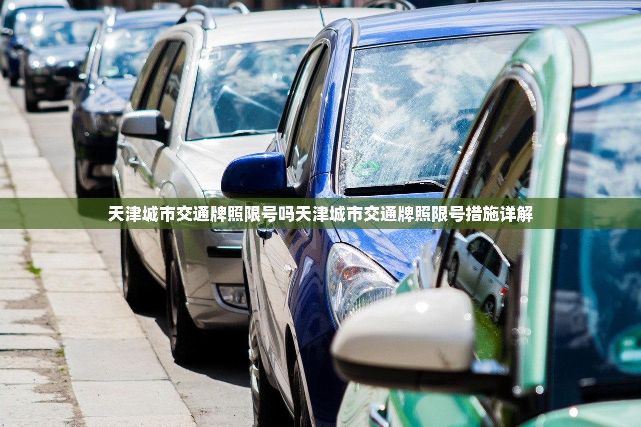 天津城市交通牌照限号吗天津城市交通牌照限号措施详解  第1张