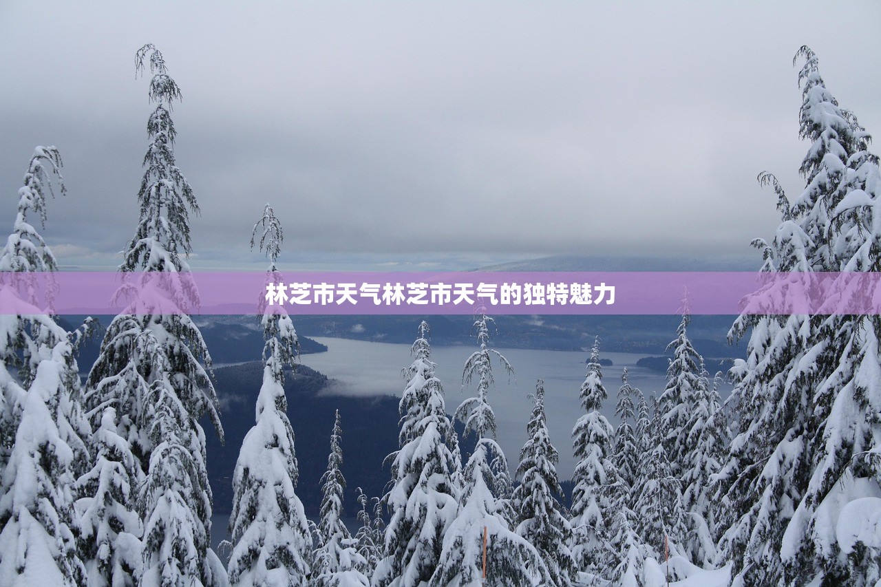 林芝市天气林芝市天气的独特魅力  第1张