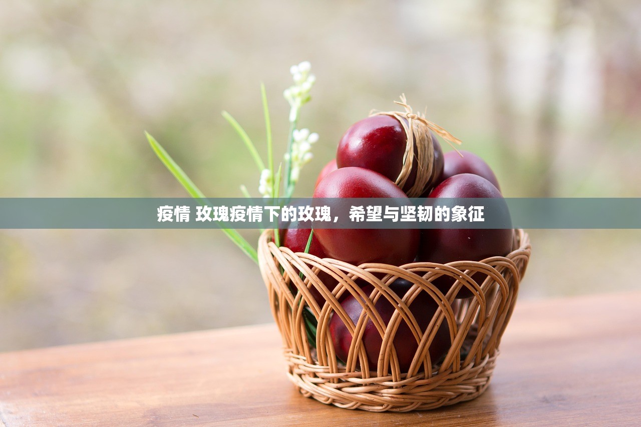 疫情 玫瑰疫情下的玫瑰，希望与坚韧的象征  第1张