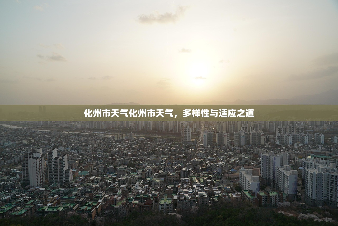 化州市天气化州市天气，多样性与适应之道  第1张
