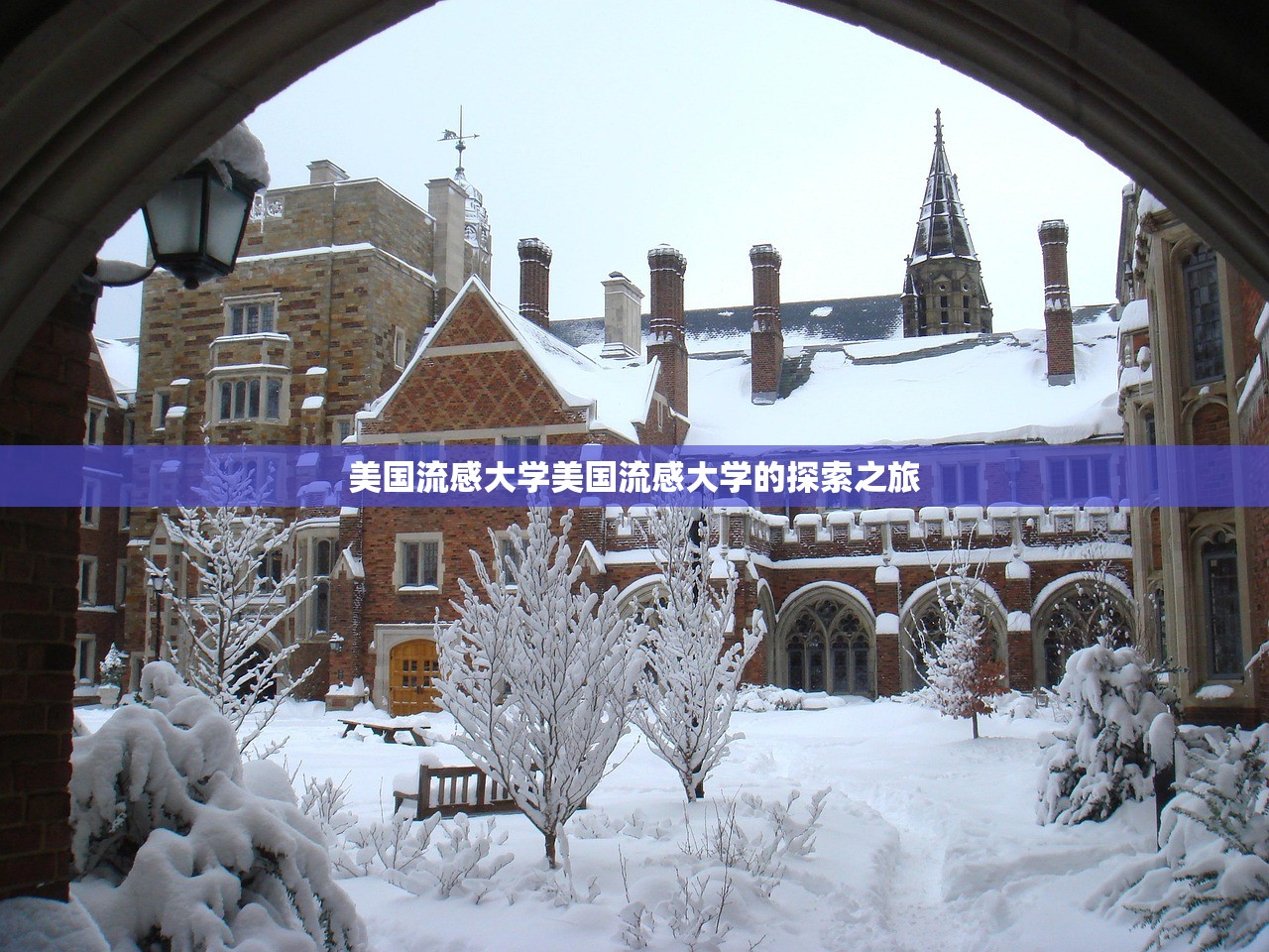 美国流感大学美国流感大学的探索之旅  第1张