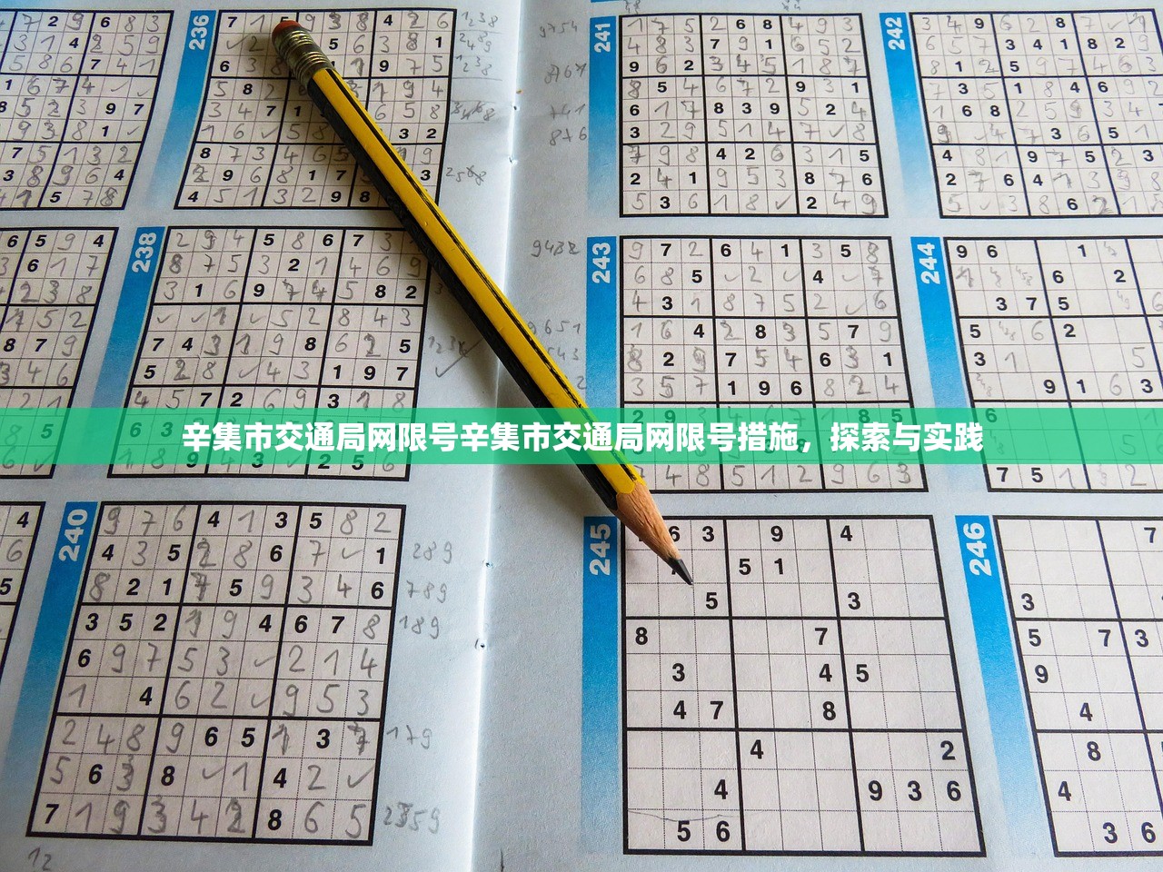 辛集市交通局网限号辛集市交通局网限号措施,探索与实践 第1张 辛集市交通局网限号辛集市交通局网限号措施,探索与实践 第1张
