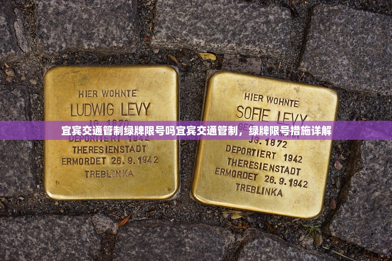 宜宾交通管制绿牌限号吗宜宾交通管制，绿牌限号措施详解  第1张