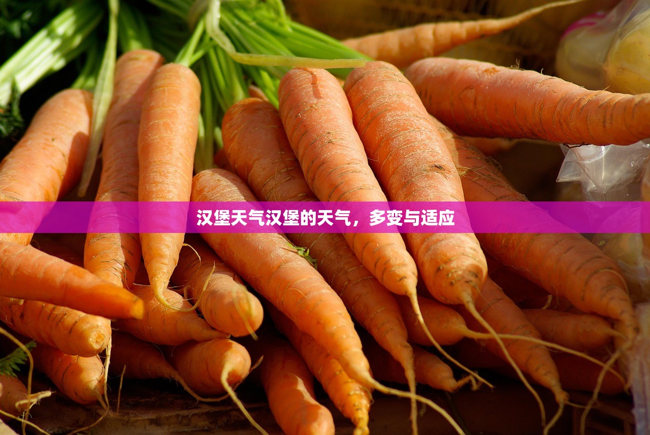 汉堡天气汉堡的天气，多变与适应  第1张