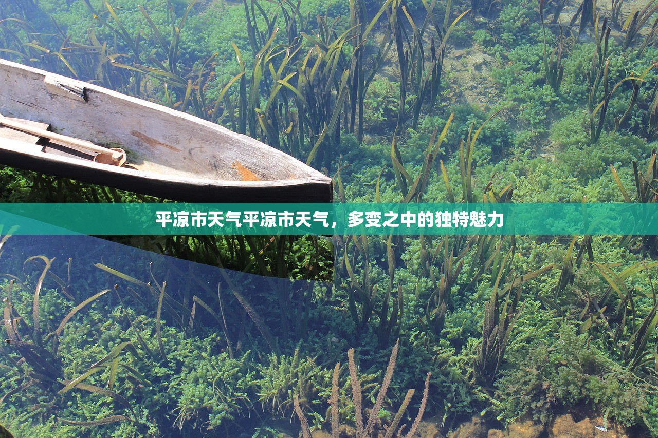 平凉市天气平凉市天气，多变之中的独特魅力  第1张
