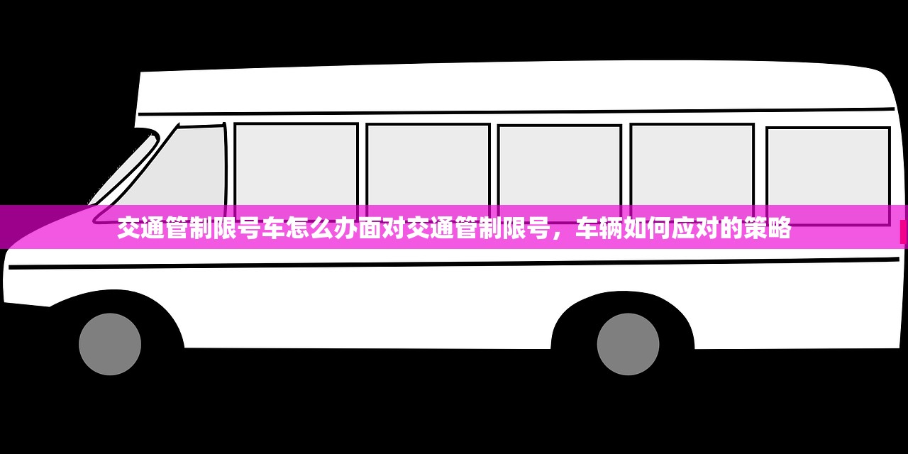交通管制限号车怎么办面对交通管制限号，车辆如何应对的策略  第1张