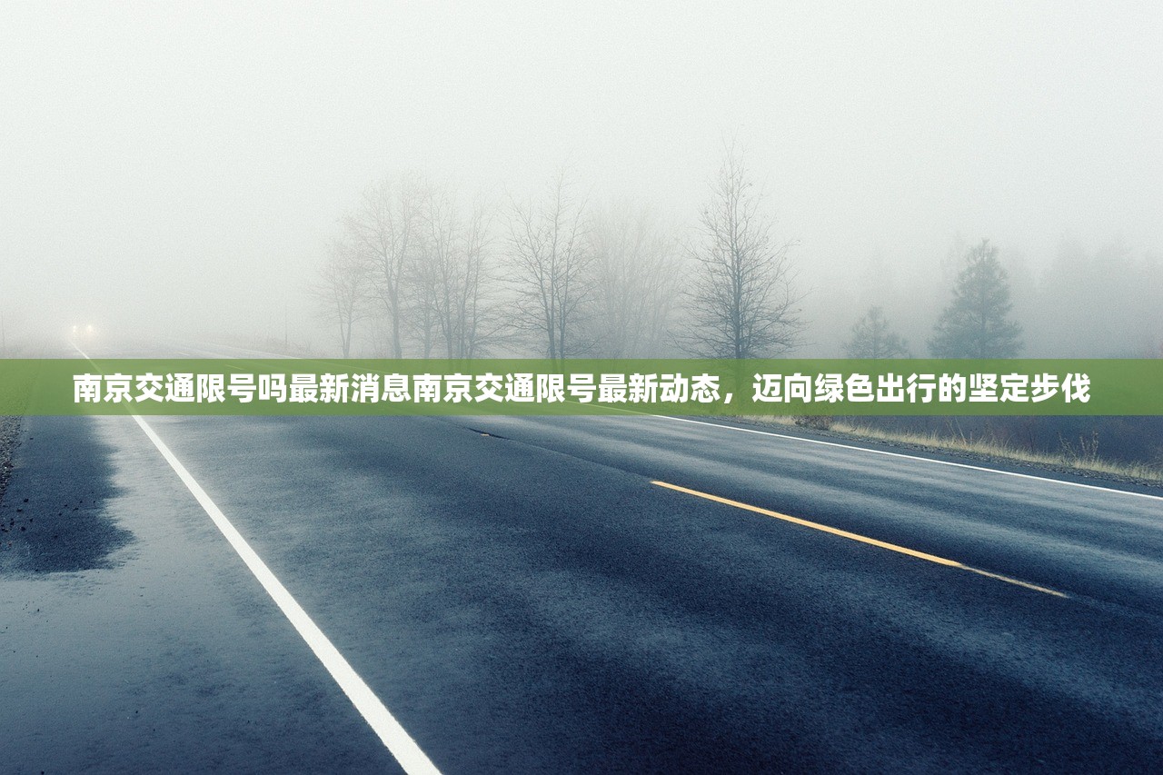 南京交通限号吗最新消息南京交通限号最新动态，迈向绿色出行的坚定步伐  第1张