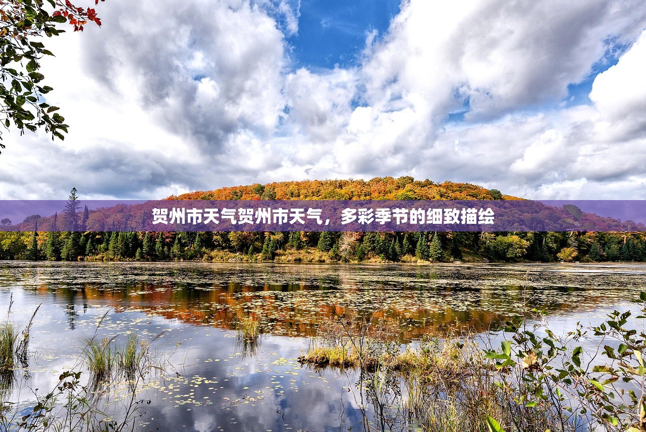 贺州市天气贺州市天气，多彩季节的细致描绘  第1张