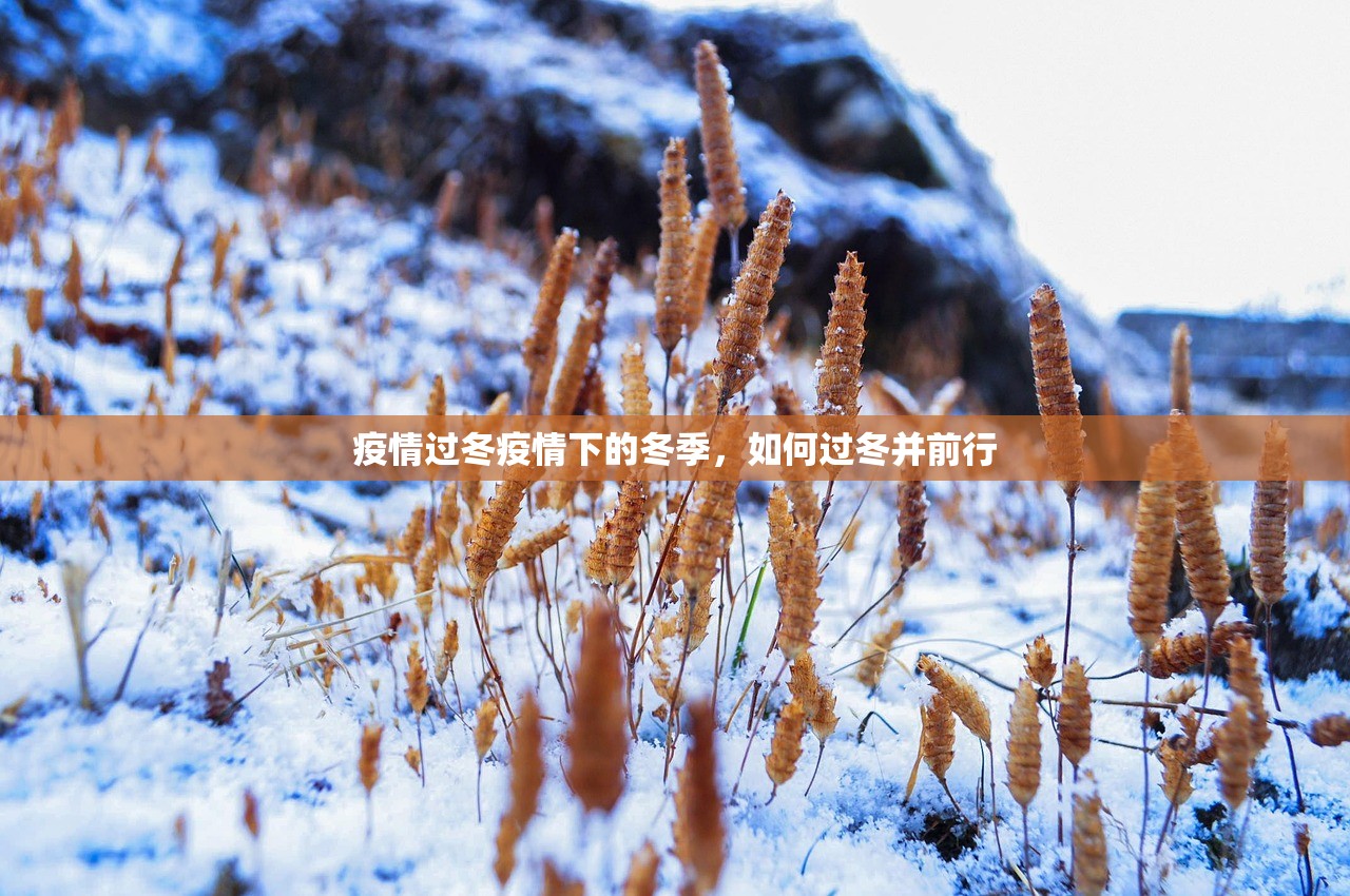疫情过冬疫情下的冬季，如何过冬并前行  第1张