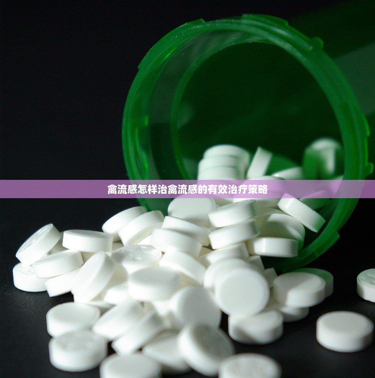 禽流感怎样治禽流感的有效治疗策略  第1张