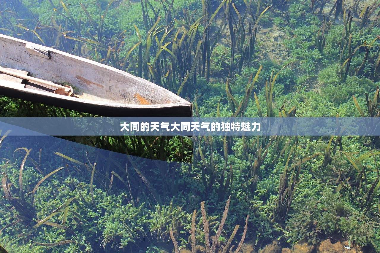 大同的天气大同天气的独特魅力  第1张