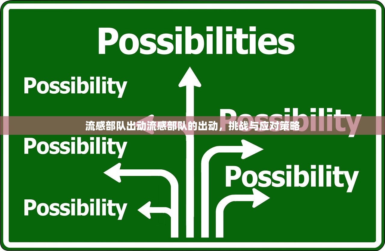 流感部队出动流感部队的出动，挑战与应对策略  第1张