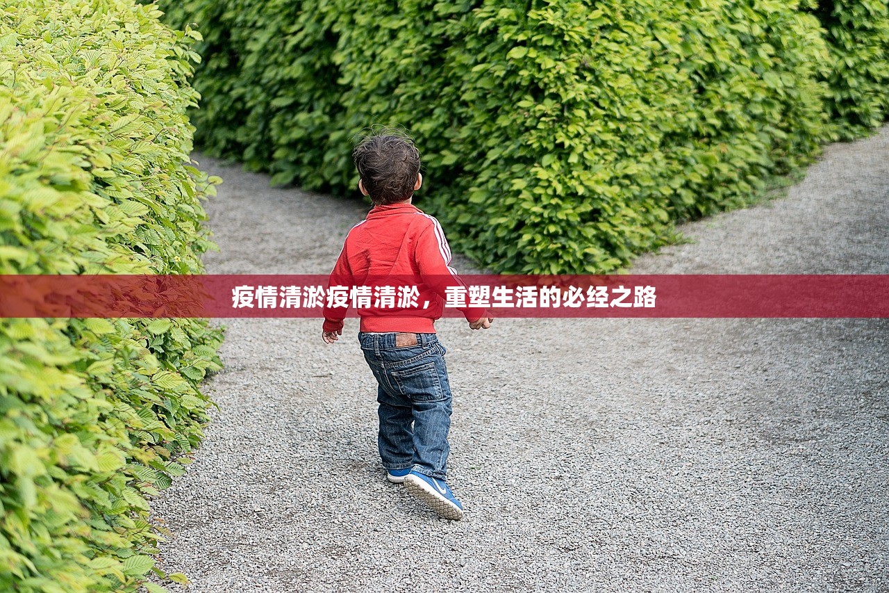 疫情清淤疫情清淤，重塑生活的必经之路  第1张