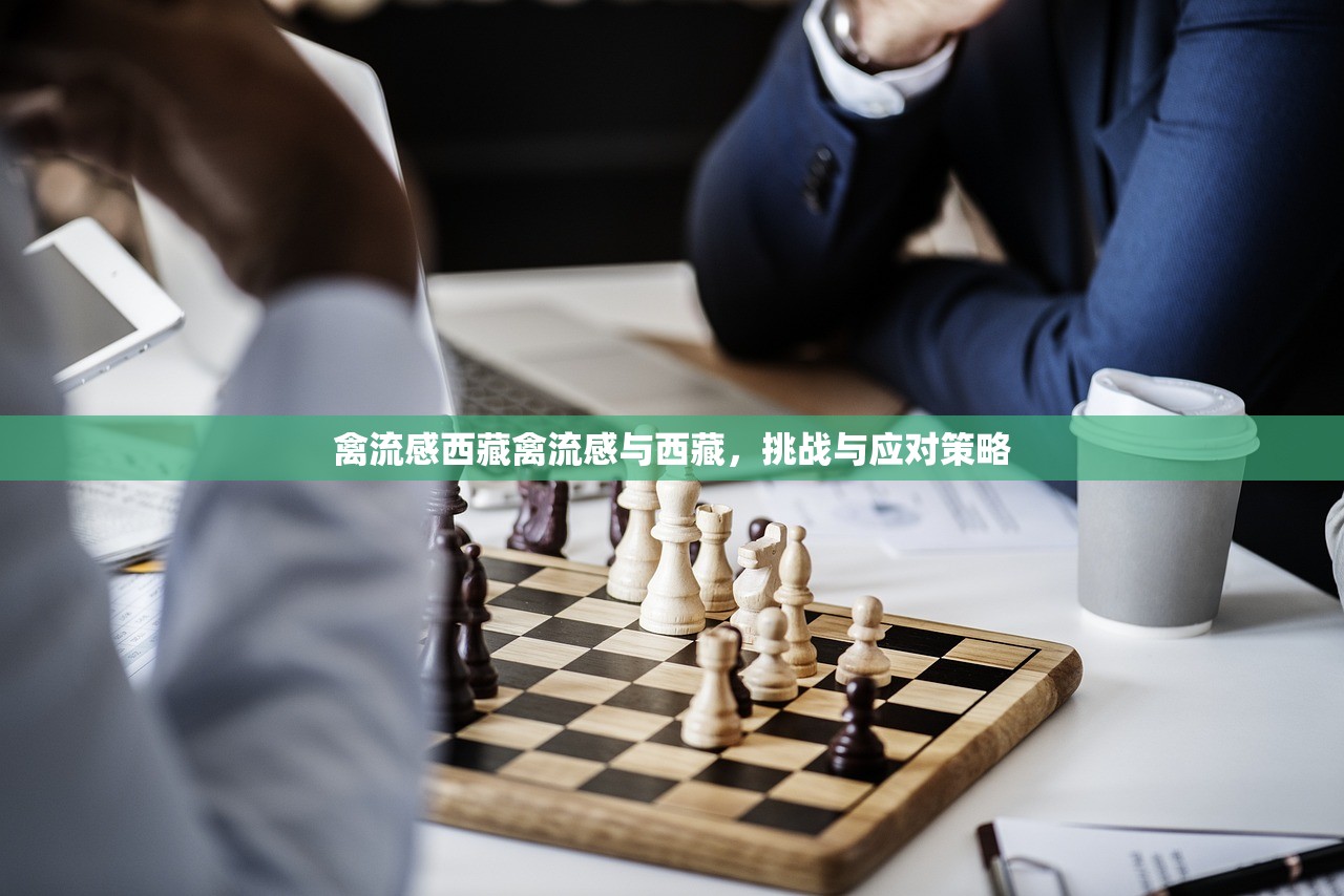 禽流感西藏禽流感与西藏，挑战与应对策略  第1张