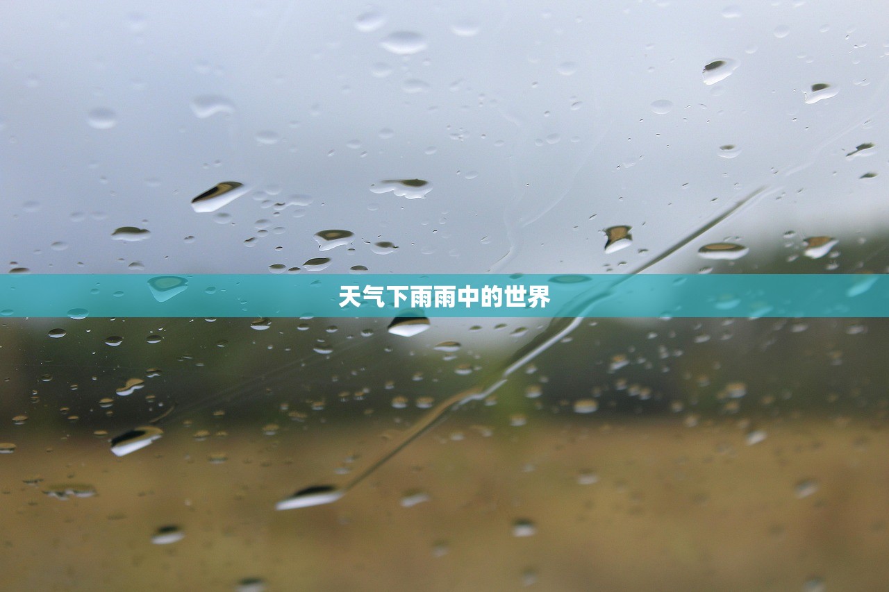 天气下雨雨中的世界  第1张
