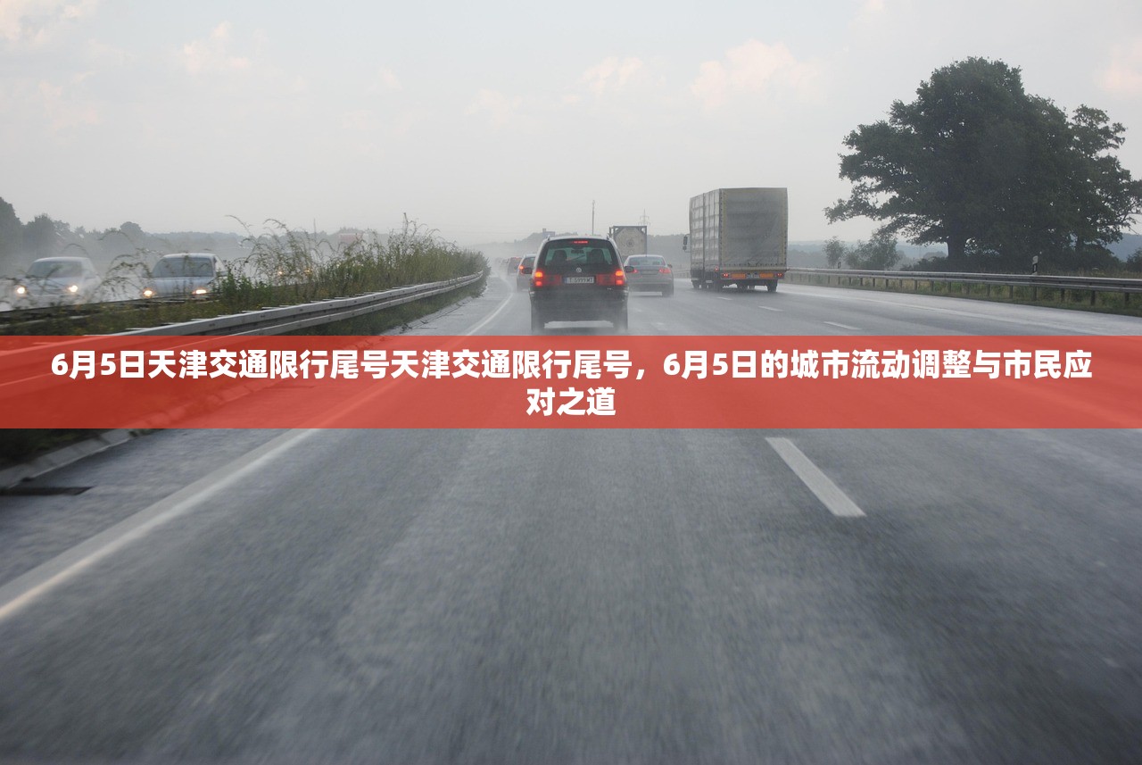 6月5日天津交通限行尾号天津交通限行尾号，6月5日的城市流动调整与市民应对之道  第1张