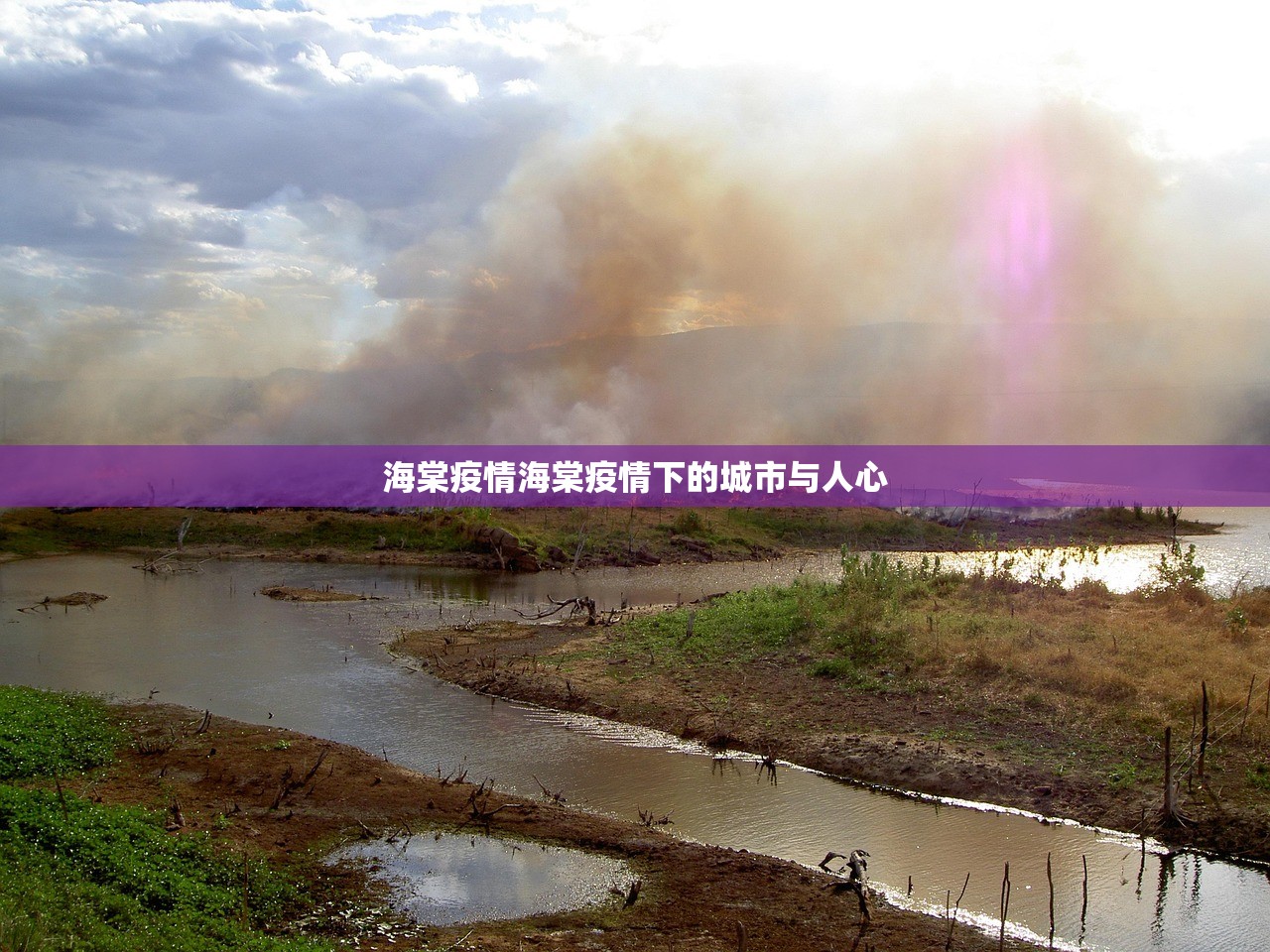 海棠疫情海棠疫情下的城市与人心  第1张