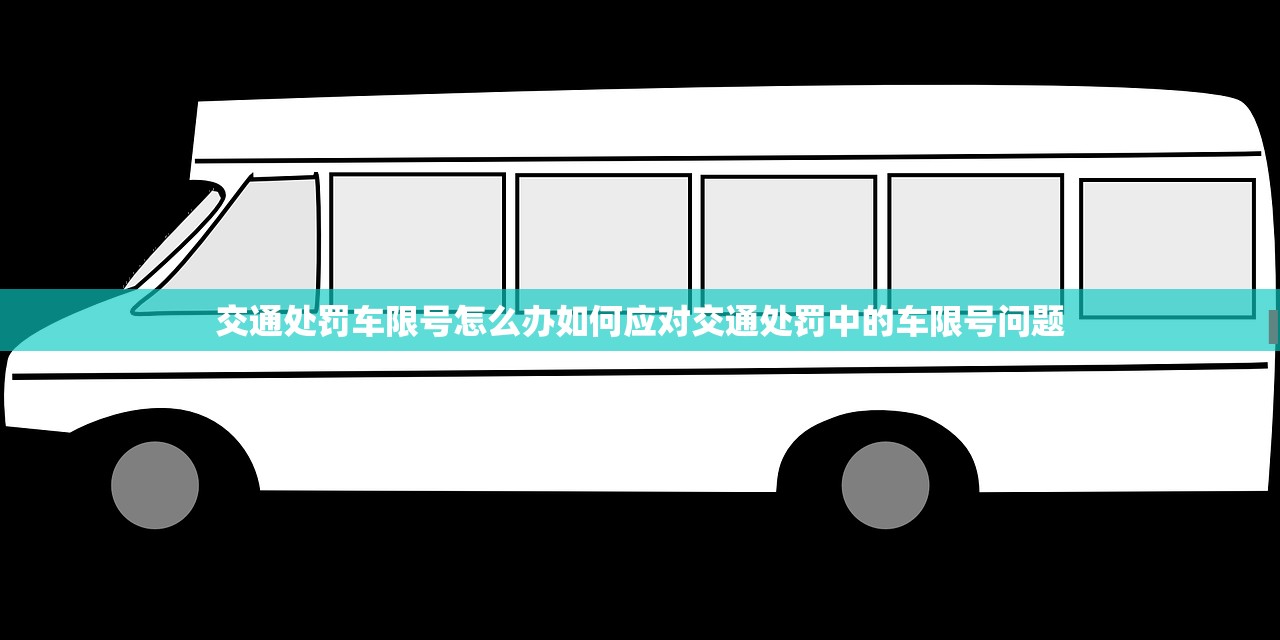 交通处罚车限号怎么办如何应对交通处罚中的车限号问题  第1张