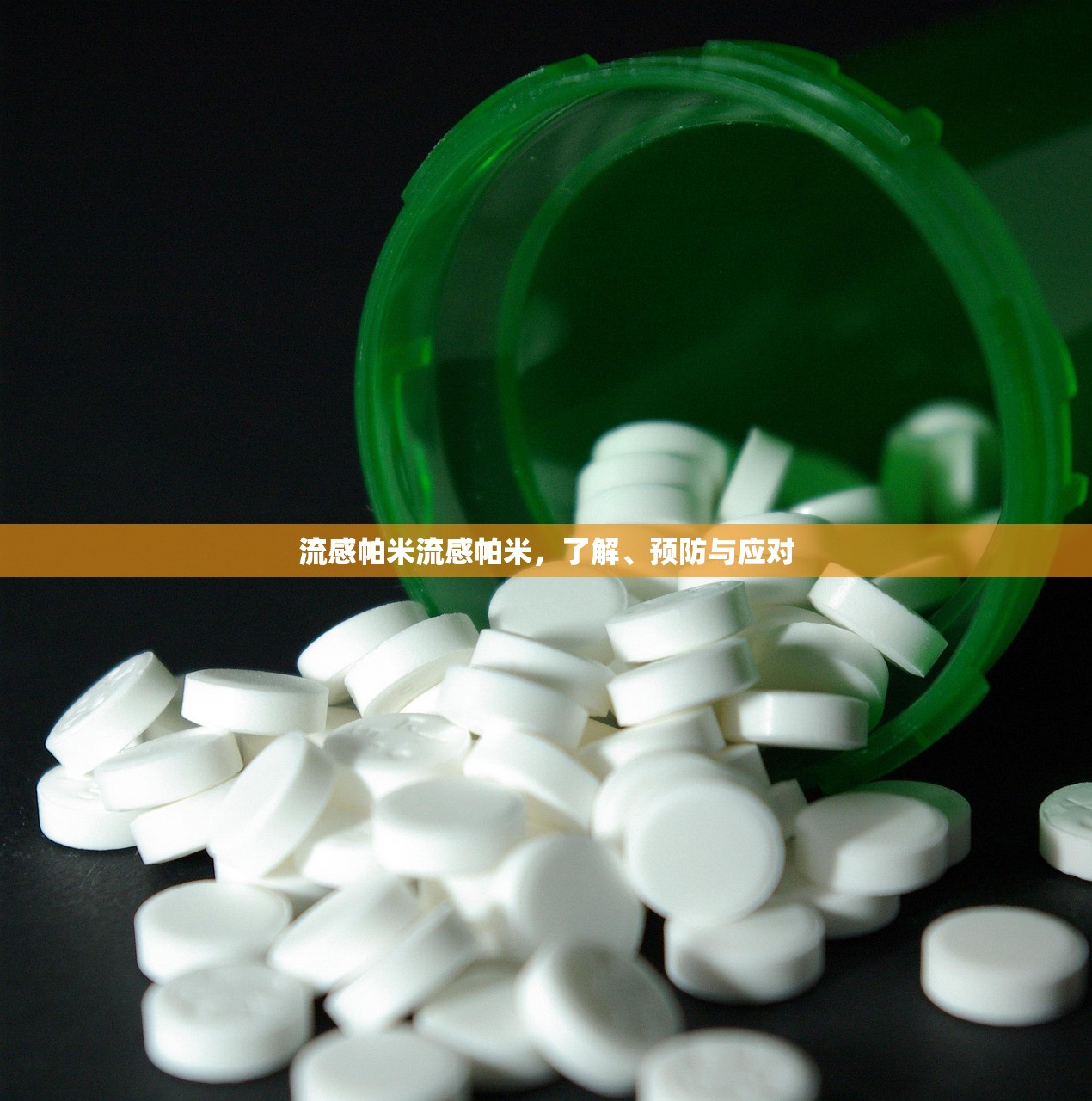 流感帕米流感帕米，了解、预防与应对  第1张