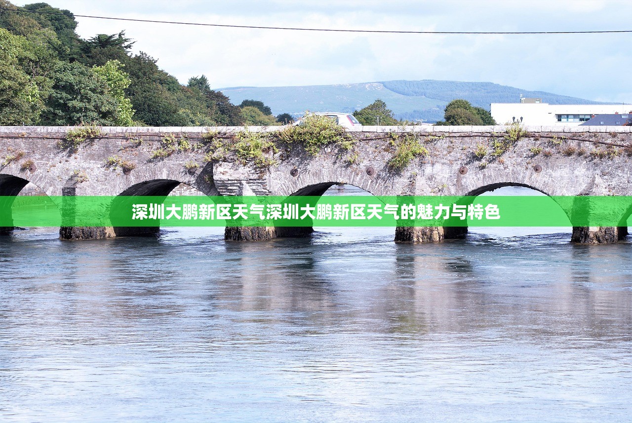 深圳大鹏新区天气深圳大鹏新区天气的魅力与特色  第1张