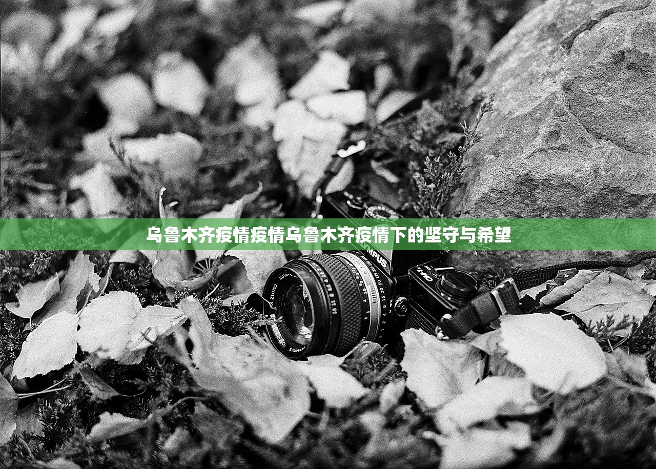 乌鲁木齐疫情疫情乌鲁木齐疫情下的坚守与希望  第1张