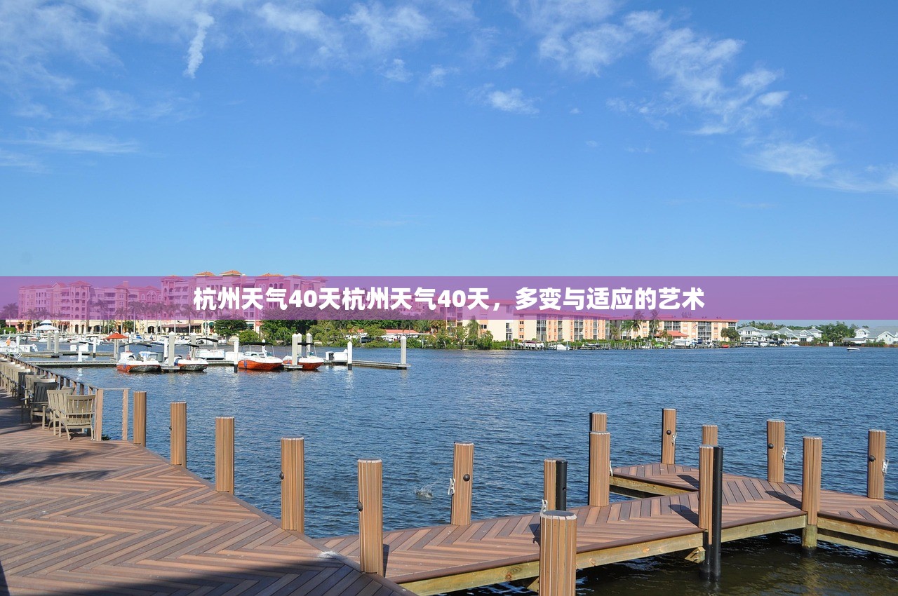 杭州天气40天杭州天气40天，多变与适应的艺术  第1张