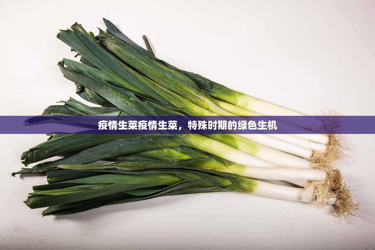 疫情生菜疫情生菜，特殊时期的绿色生机  第1张