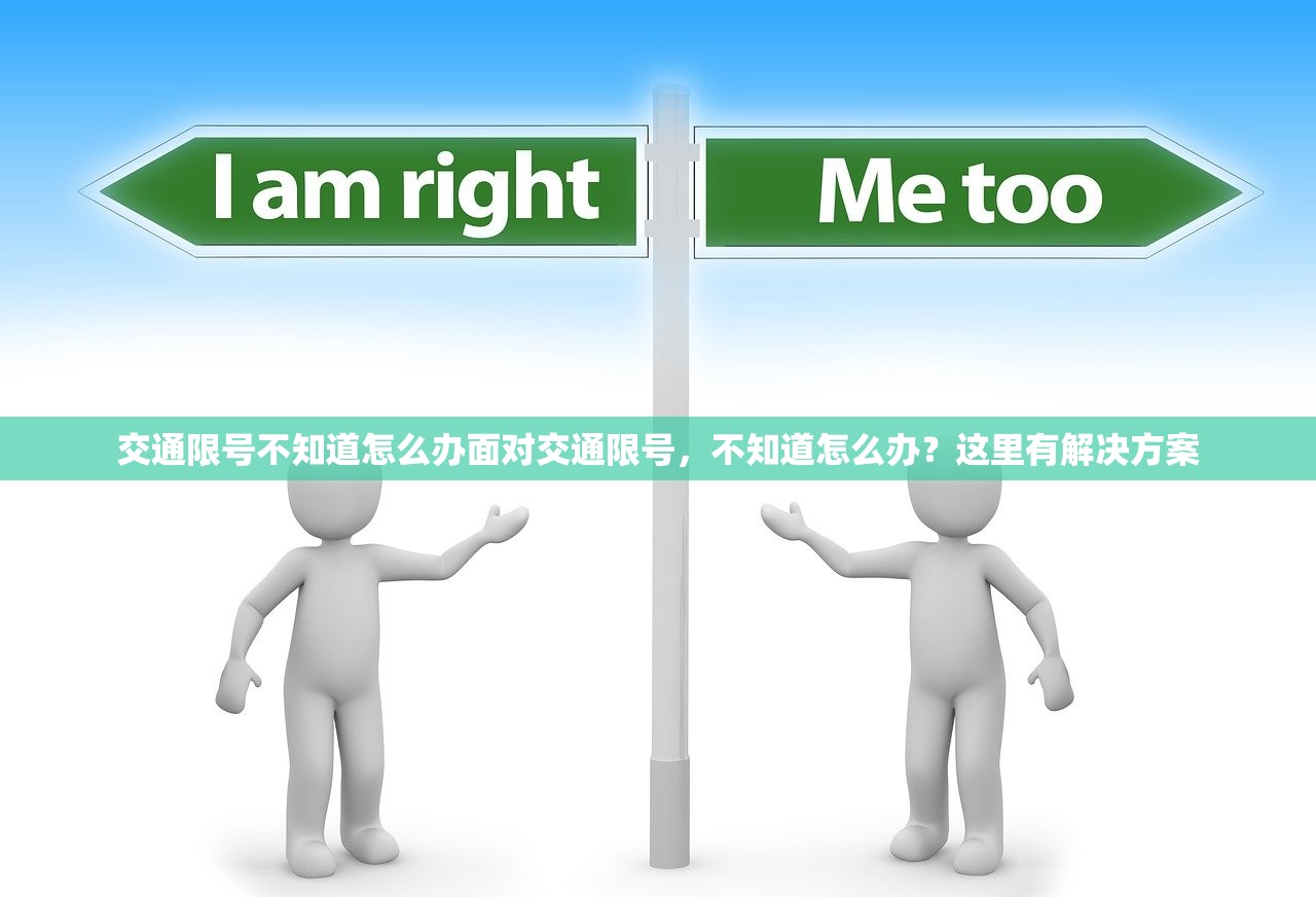 交通限号不知道怎么办面对交通限号,不知道怎么办?这里有解决方案 第1张 交通限号不知道怎么办面对交通限号,不知道怎么办?这里有解决方案 第1张