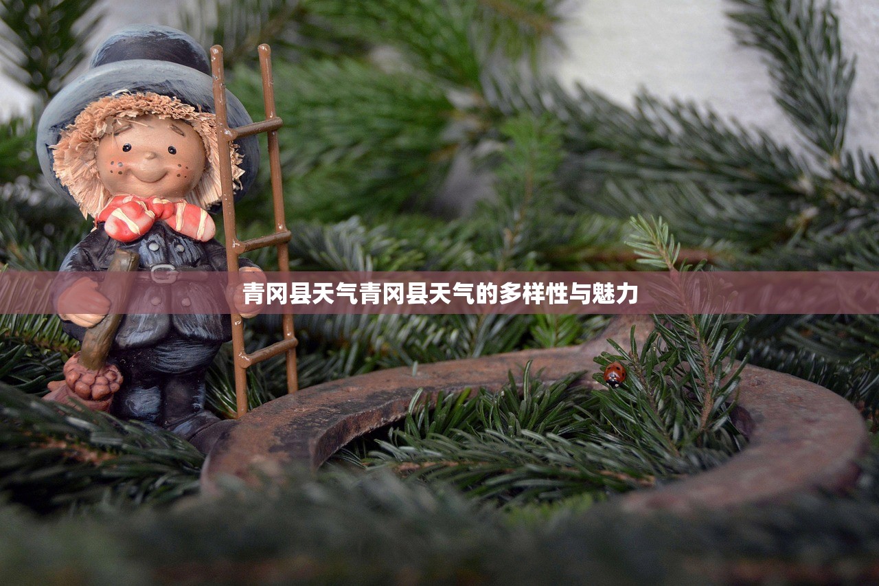 青冈县天气青冈县天气的多样性与魅力  第1张