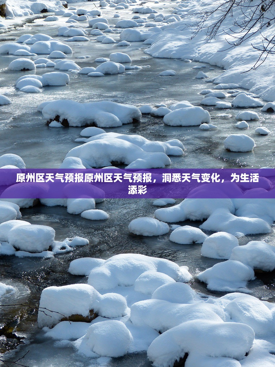 原州区天气预报原州区天气预报，洞悉天气变化，为生活添彩  第1张