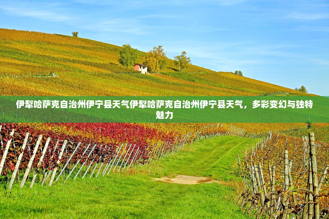 伊犁哈萨克自治州伊宁县天气伊犁哈萨克自治州伊宁县天气，多彩变幻与独特魅力  第1张