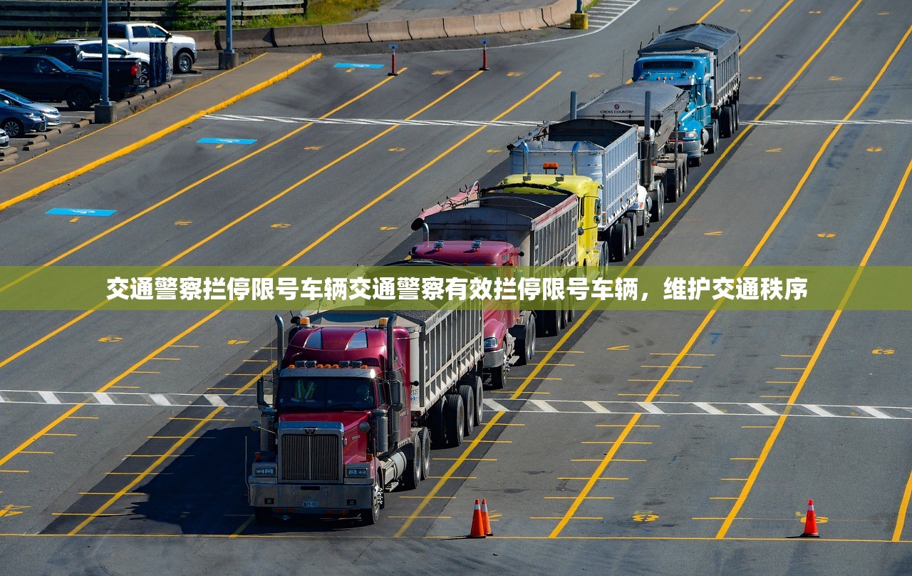 交通警察拦停限号车辆交通警察有效拦停限号车辆，维护交通秩序  第1张