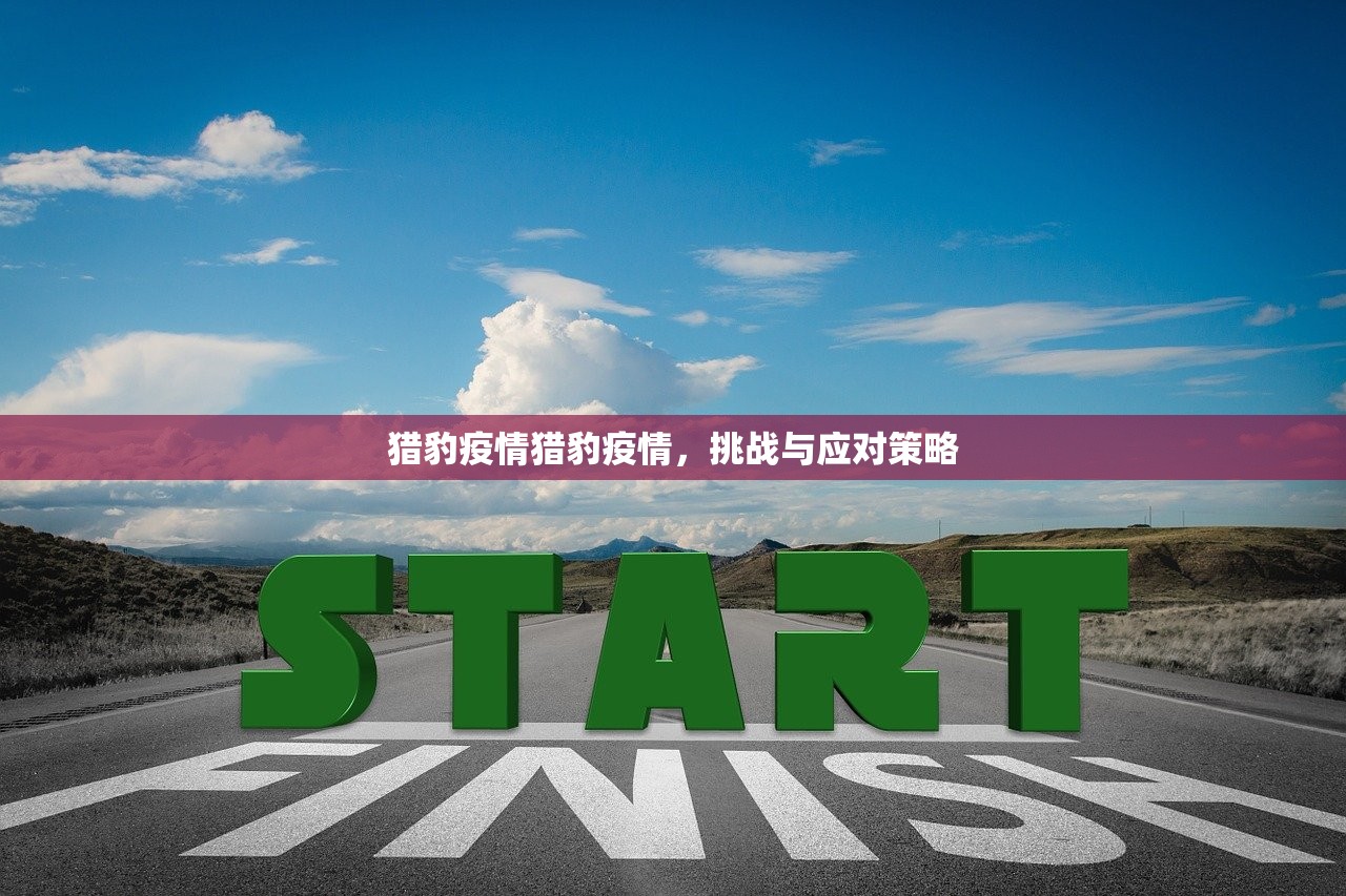 猎豹疫情猎豹疫情，挑战与应对策略  第1张