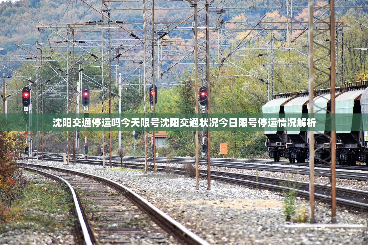 沈阳交通停运吗今天限号沈阳交通状况今日限号停运情况解析  第1张