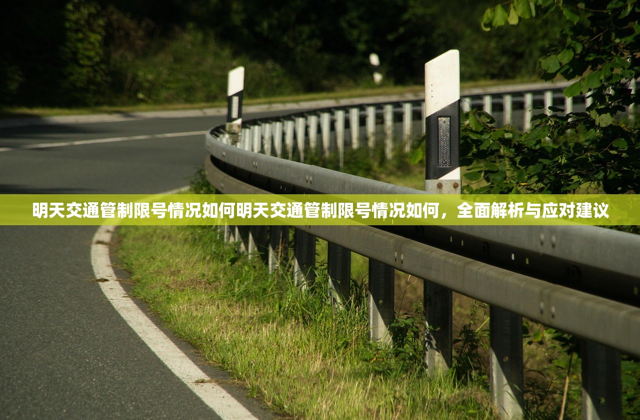 明天交通管制限号情况如何明天交通管制限号情况如何，全面解析与应对建议  第1张