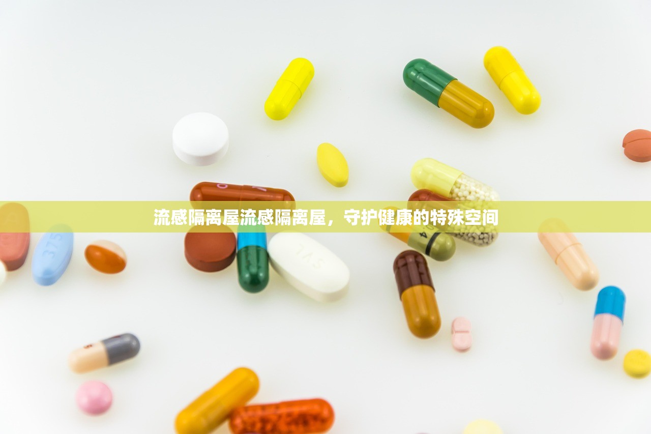 流感隔离屋流感隔离屋，守护健康的特殊空间  第1张