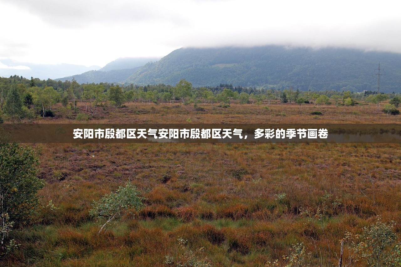 安阳市殷都区天气安阳市殷都区天气，多彩的季节画卷  第1张