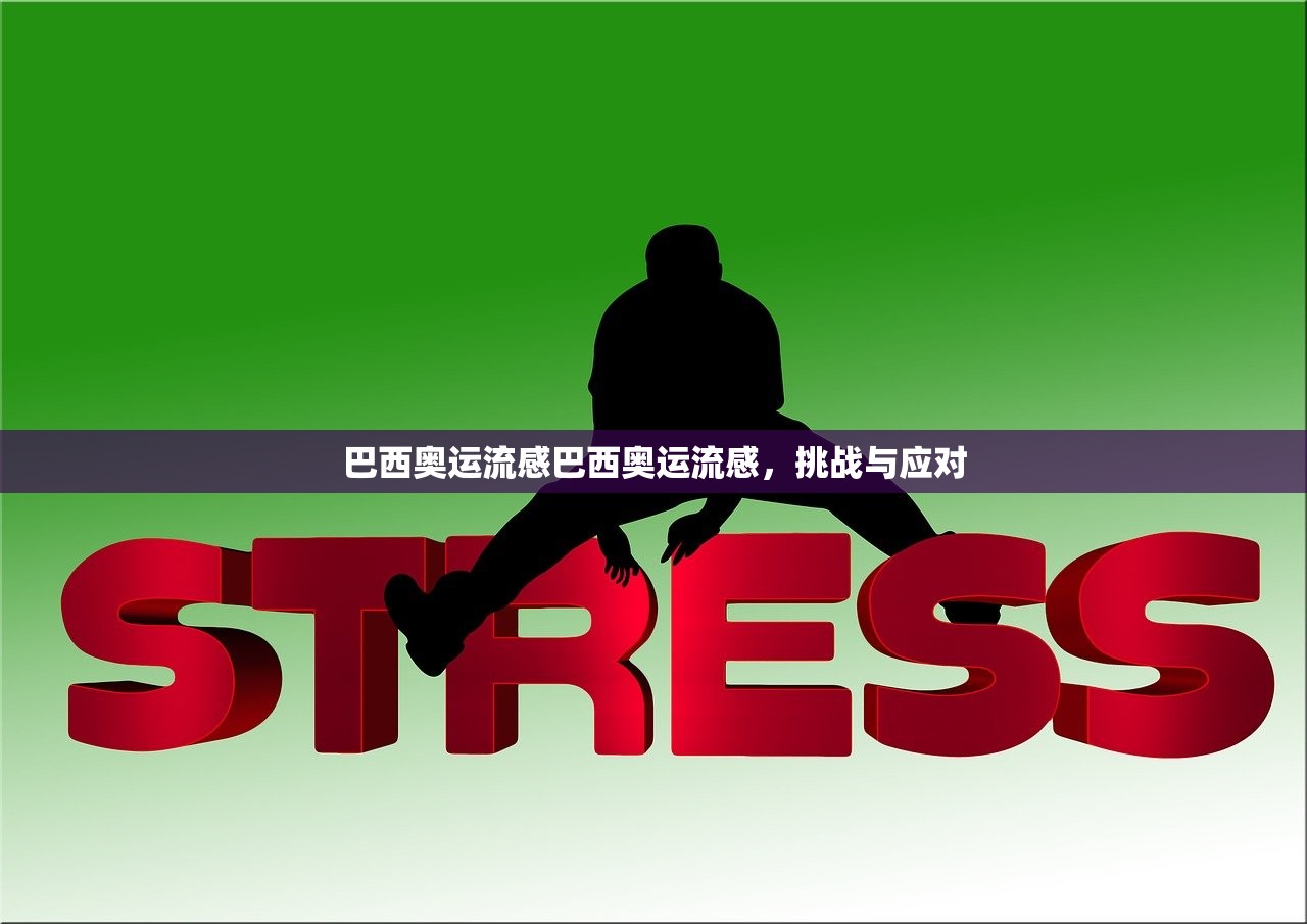 巴西奥运流感巴西奥运流感，挑战与应对  第1张