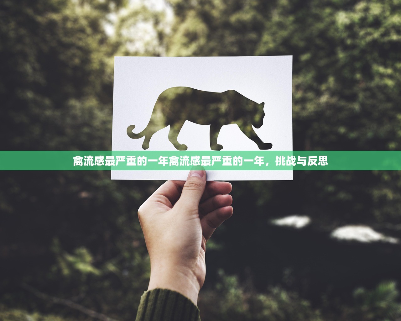 禽流感最严重的一年禽流感最严重的一年，挑战与反思  第1张