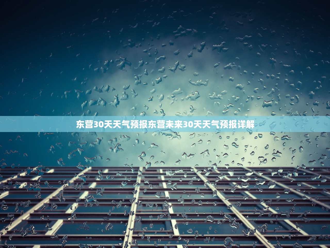 东营30天天气预报东营未来30天天气预报详解  第1张