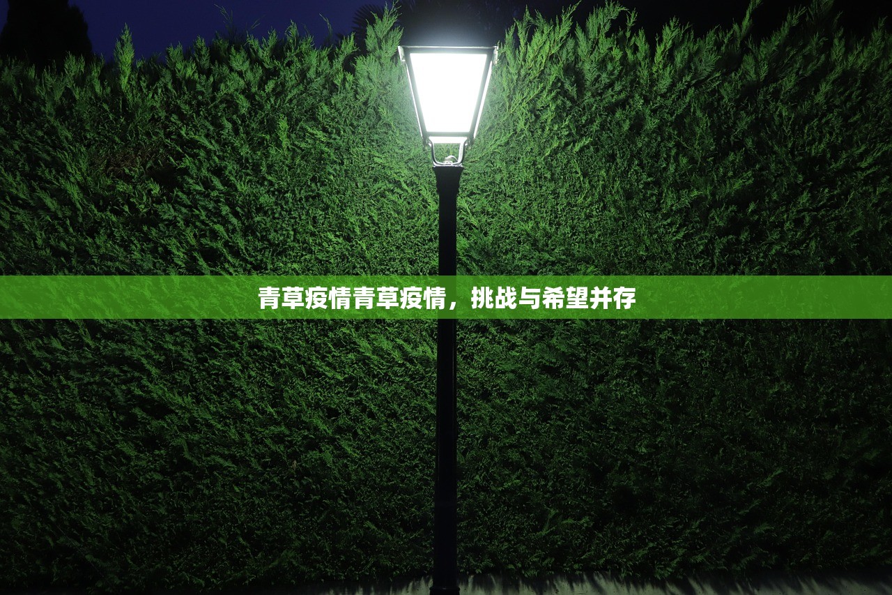 青草疫情青草疫情，挑战与希望并存  第1张