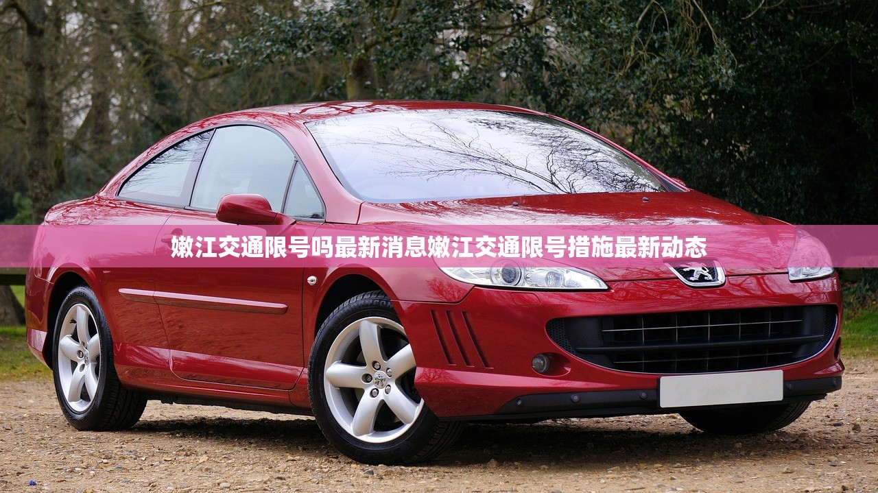嫩江交通限号吗最新消息嫩江交通限号措施最新动态  第1张